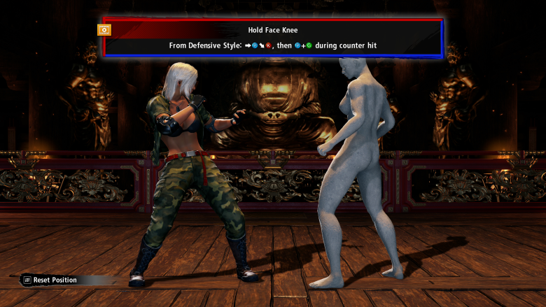 Virtua Fighter 5 R.E.V.O.