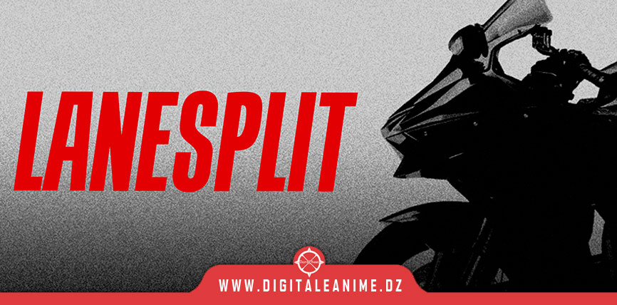 LANESPLIT