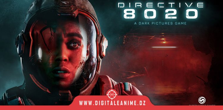 Directive 8020